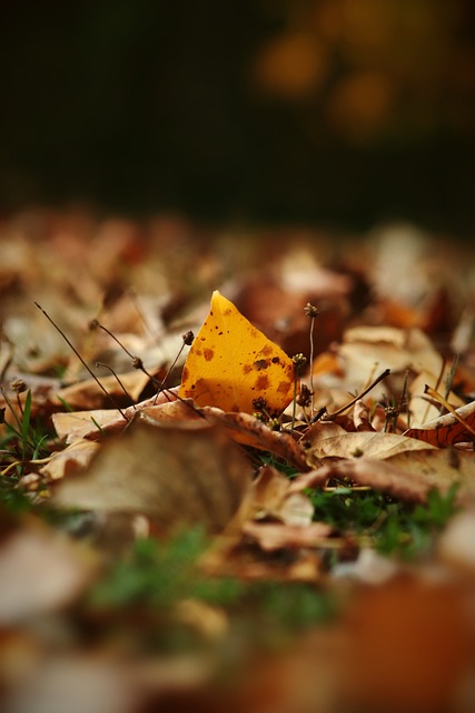 乓球激烈赛 乓球激烈赛