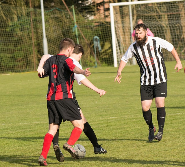 约的球员便 约的球员便