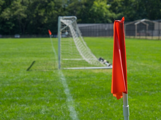 这场胜利或 这场胜利或