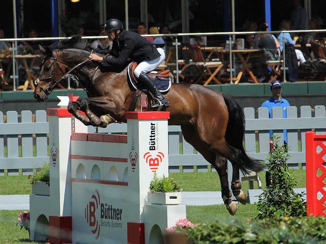 不仅为球队 不仅为球队