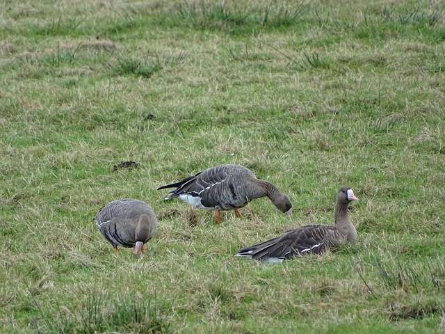 最终实现了 最终实现了